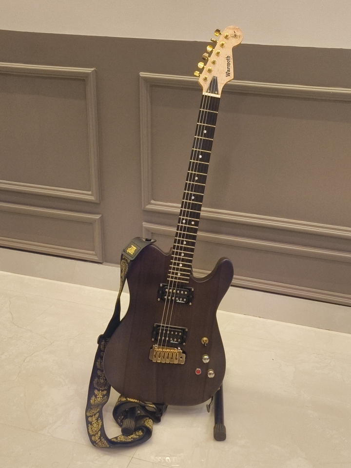 Buy Used 'CUSTOM WARMOTH TELECASTER Flamed Maple Neck Ebony